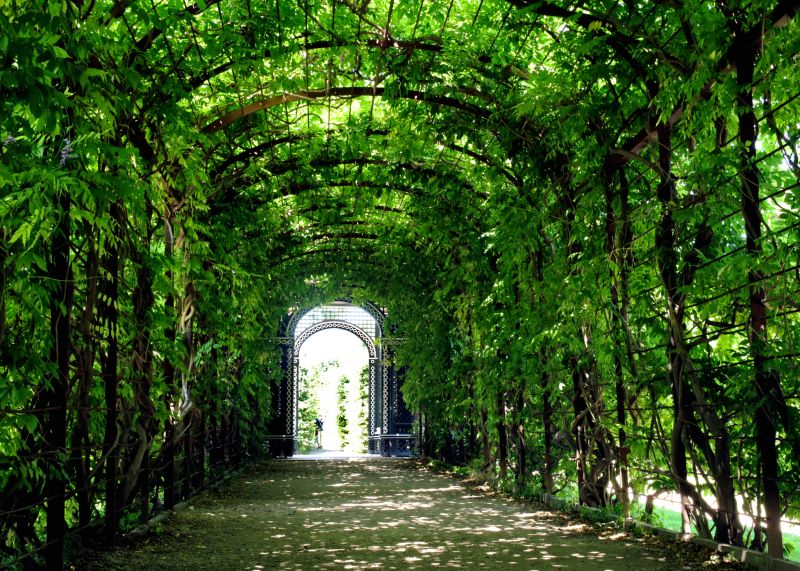 Arched Trellis Installation