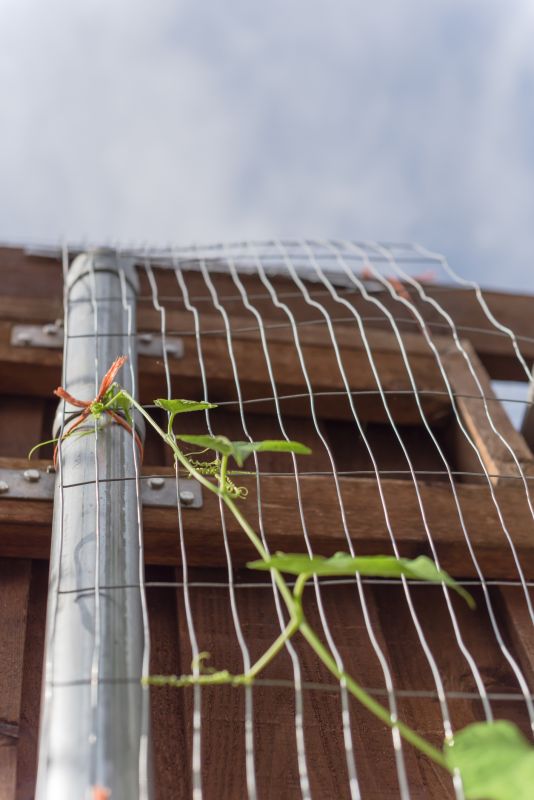 Fence Top Trellis Installation