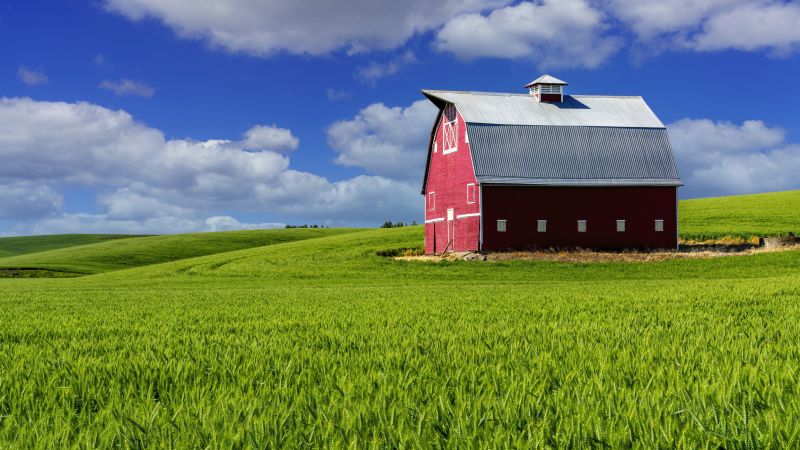 Barn Construction detail