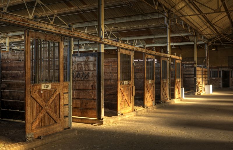 Horse Stall Repair