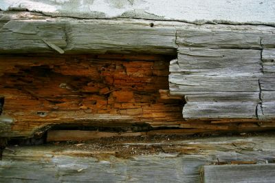 Wood Rot And Moisture Damage In Outdoor Structures