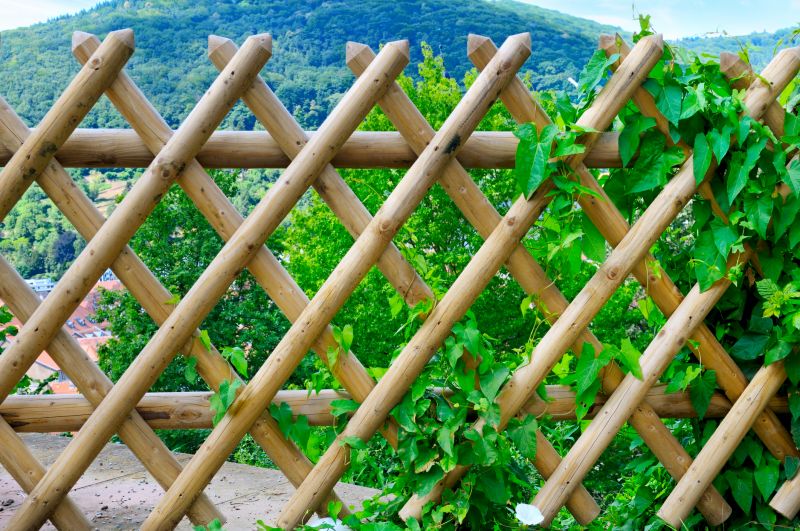 Wood Trellis Fence Service