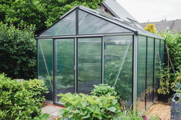 Greenhouse Repair in Alexandria