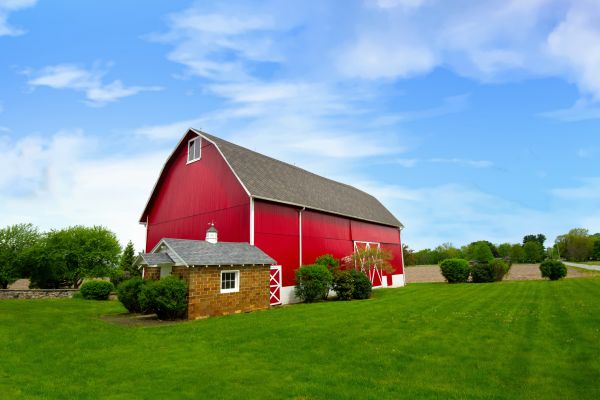 Outbuilding Construction