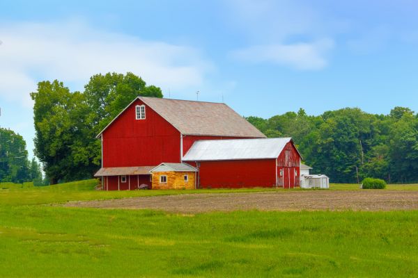 Barn Renovation Service