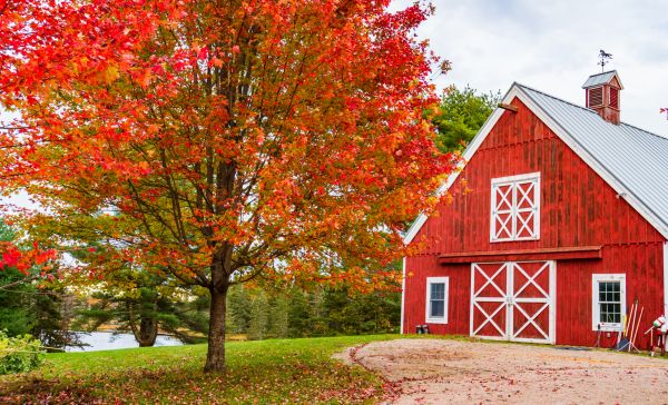 Barn Makeover