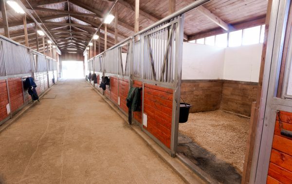 Horse Barn Construction Service
