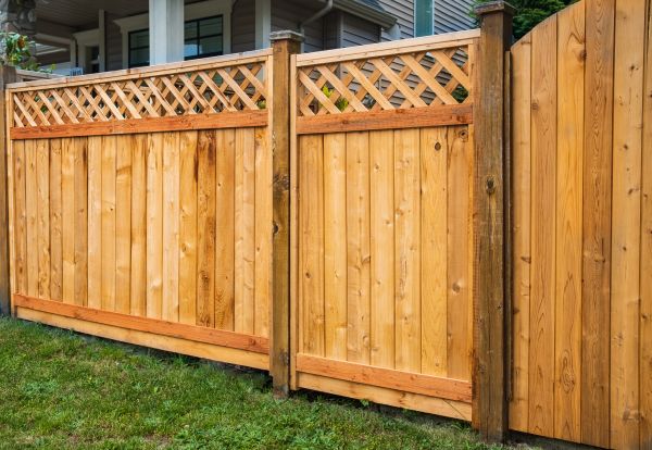 Fence Top Trellis Installation in Alexandria