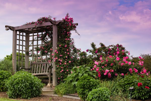 Wooden Trellis Installation in Alexandria
