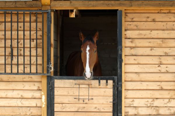 Equine Stable Construction